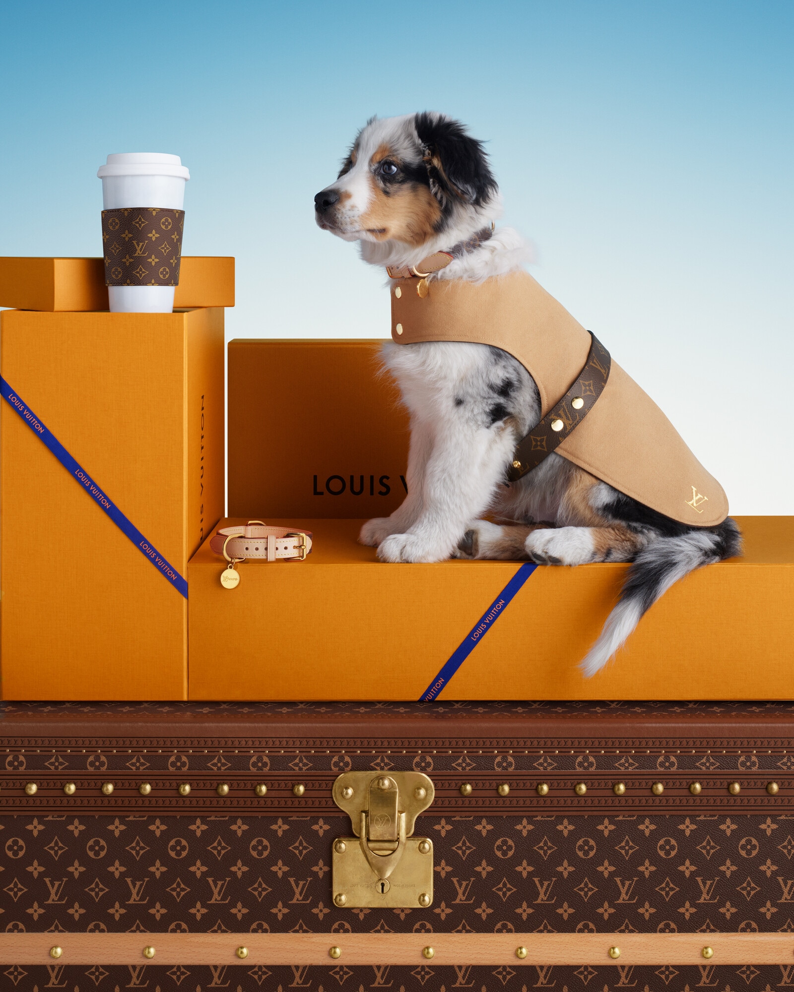 Coleção Presentes para Pets para Presentes | LOUIS VUITTON ®