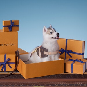 Coleção Presentes para Pets para Presentes | LOUIS VUITTON ®