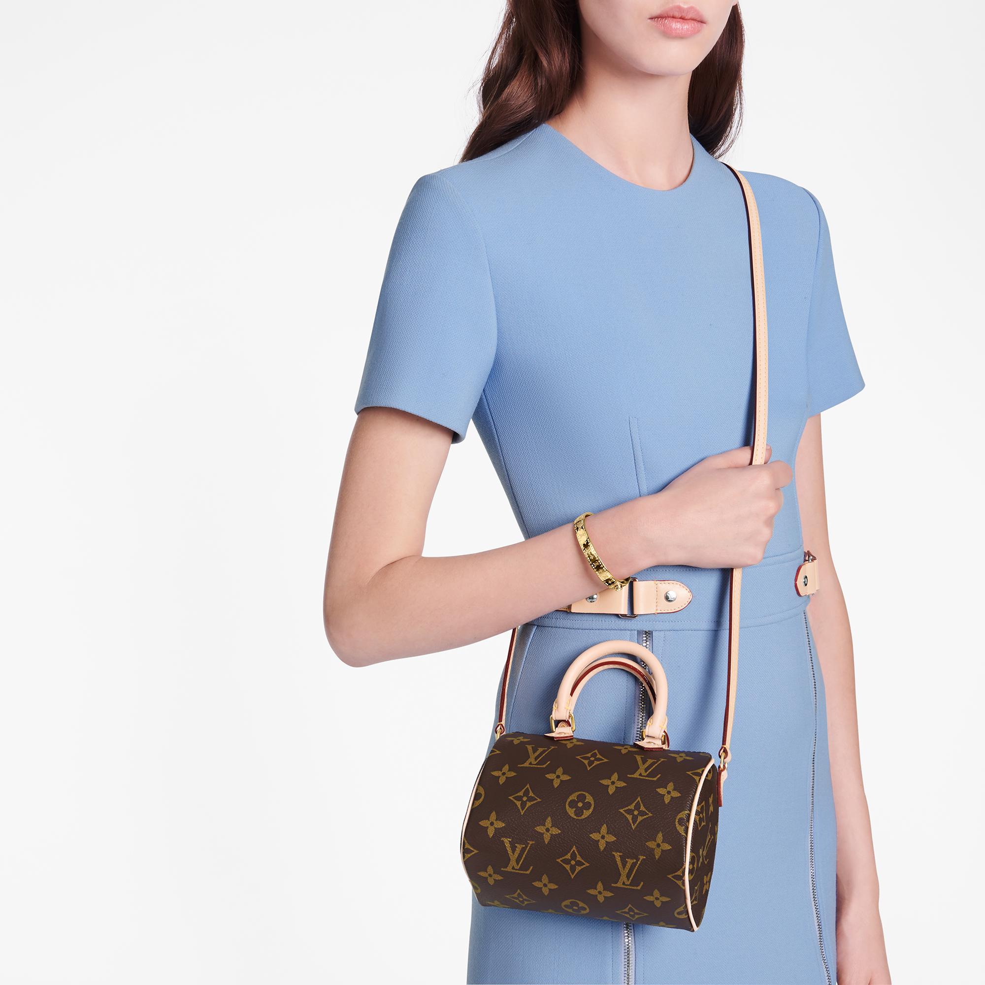 speedy louis vuitton mini