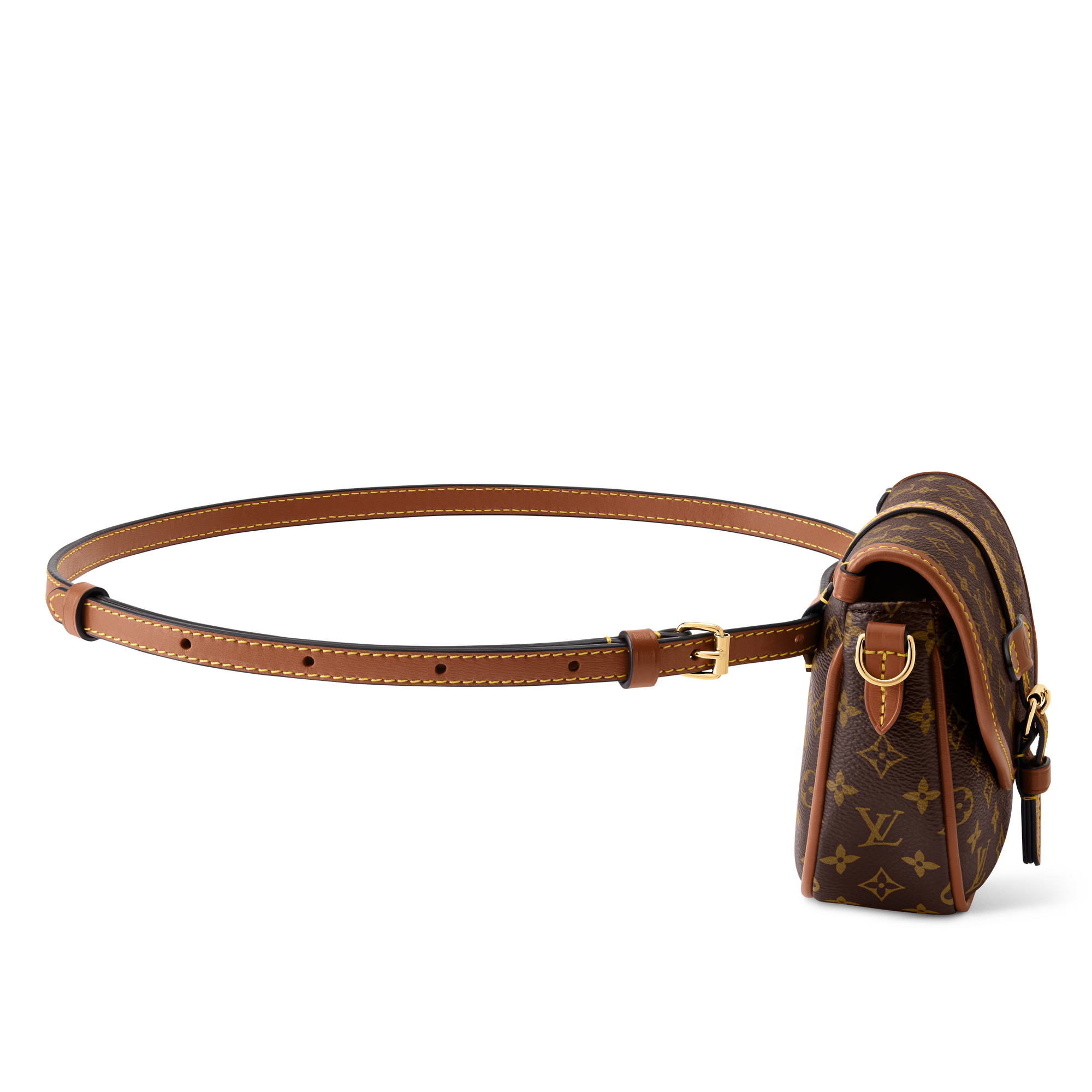 Monogram Carteiras Carteiras com Corrente & Micro Bolsas Belt Bag Solo | Louis Vuitton ® (Zoom no Produto)