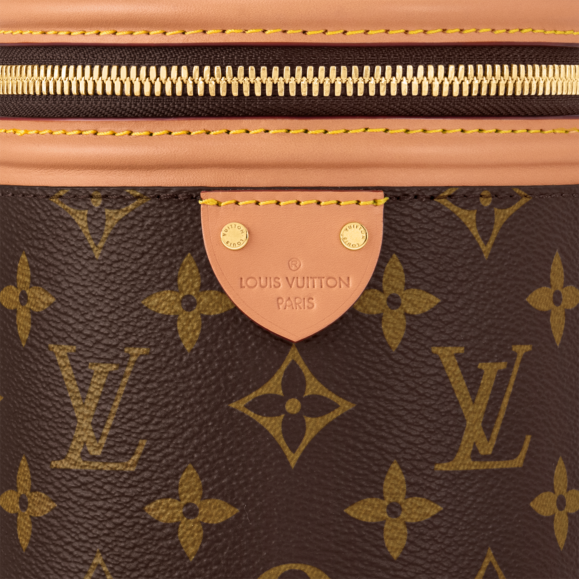 Monogram Carteiras Carteiras com Corrente & Micro Bolsas Bolsa Cannes Nano | Louis Vuitton ® (Zoom no Produto)
