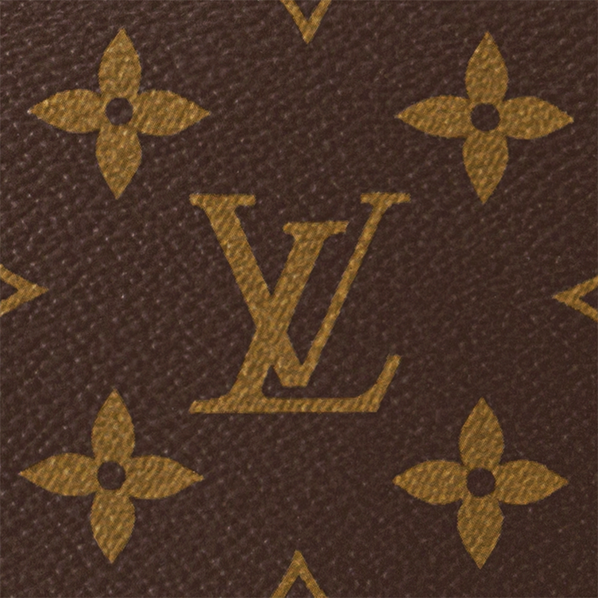 Monogram Bolsas Todas as Bolsas Bolsa Hobo Loop | Louis Vuitton ® (Zoom no Produto)