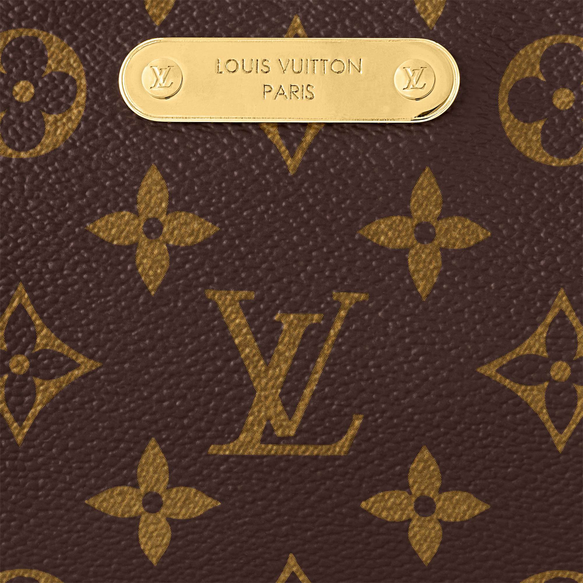 Monogram Bolsas Todas as Bolsas Bolsa Pochette Liv | Louis Vuitton ® (Zoom no Produto)