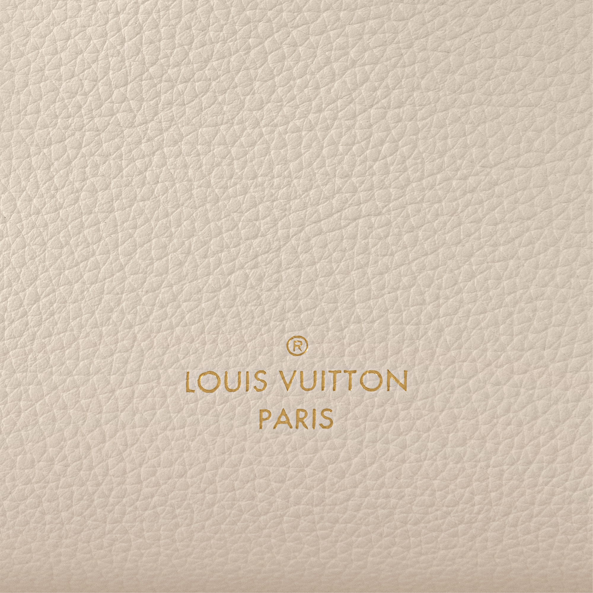 H27 Bolsas Todas as Coleções Bolsa Side Trunk PM | Louis Vuitton ® (Zoom no Produto)