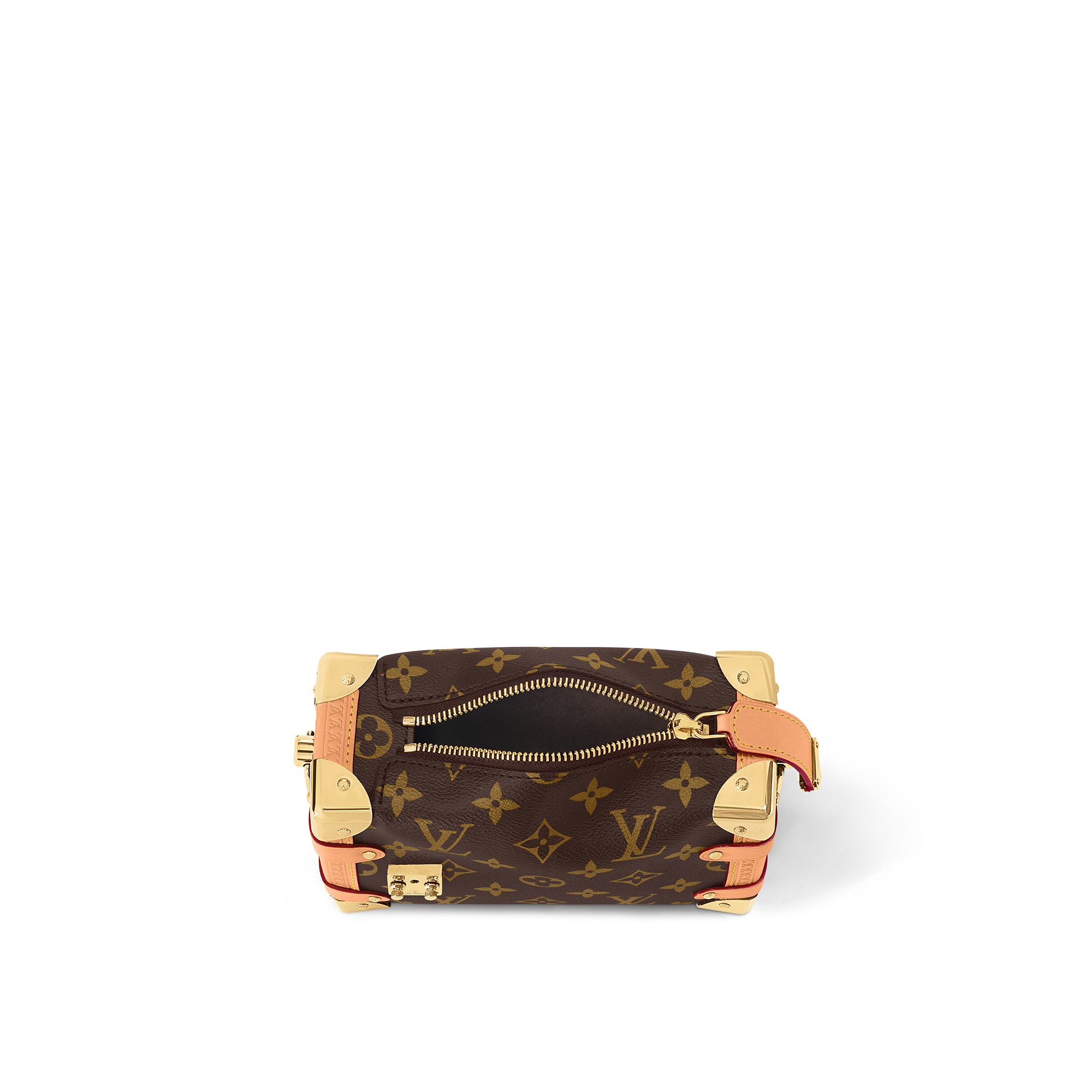 Monogram Bolsas Todas as Coleções Bolsa Side Trunk PM | Louis Vuitton ® (Zoom no Produto)