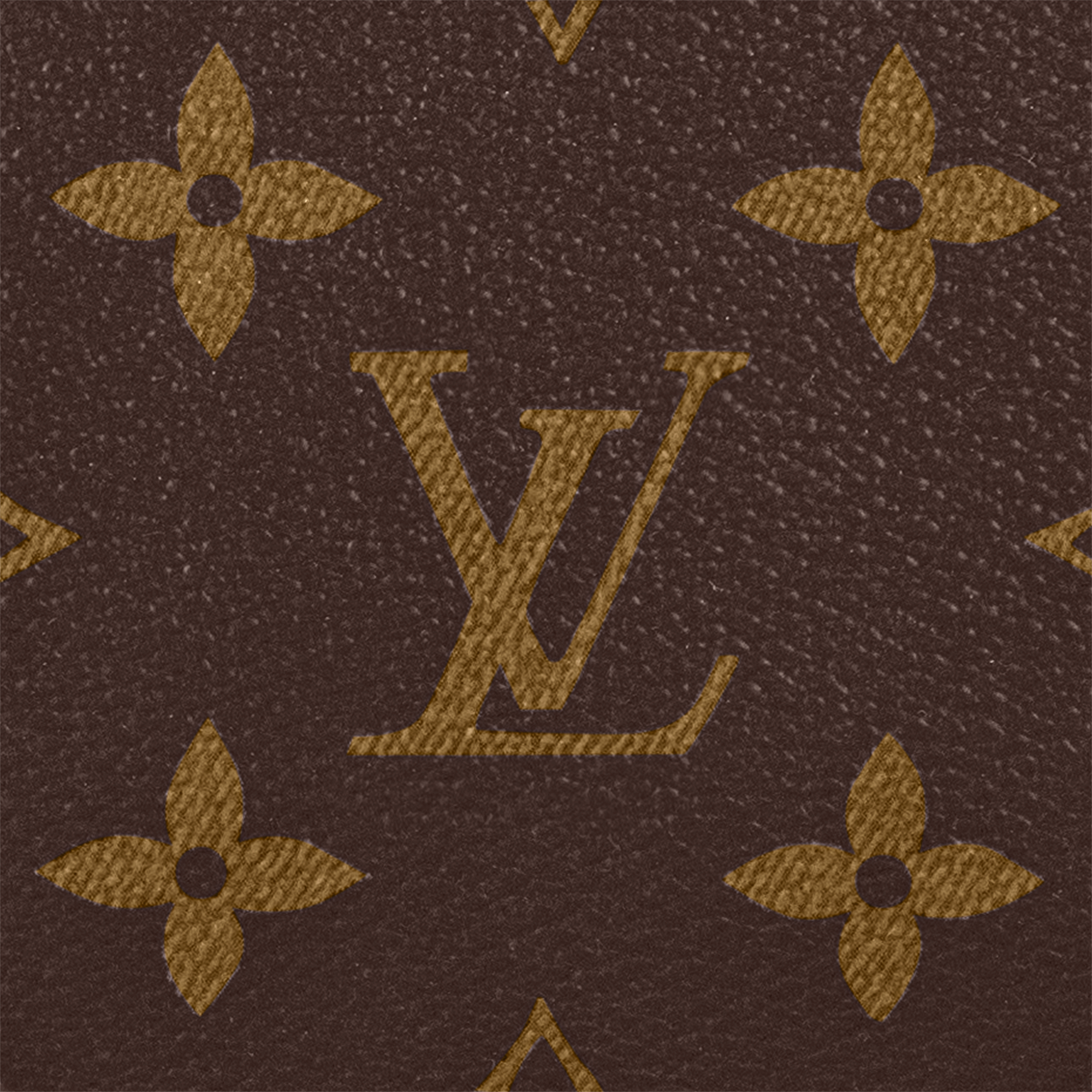Monogram Carteiras Todas as Carteiras Daily Pouch | Louis Vuitton ® (Zoom no Produto)