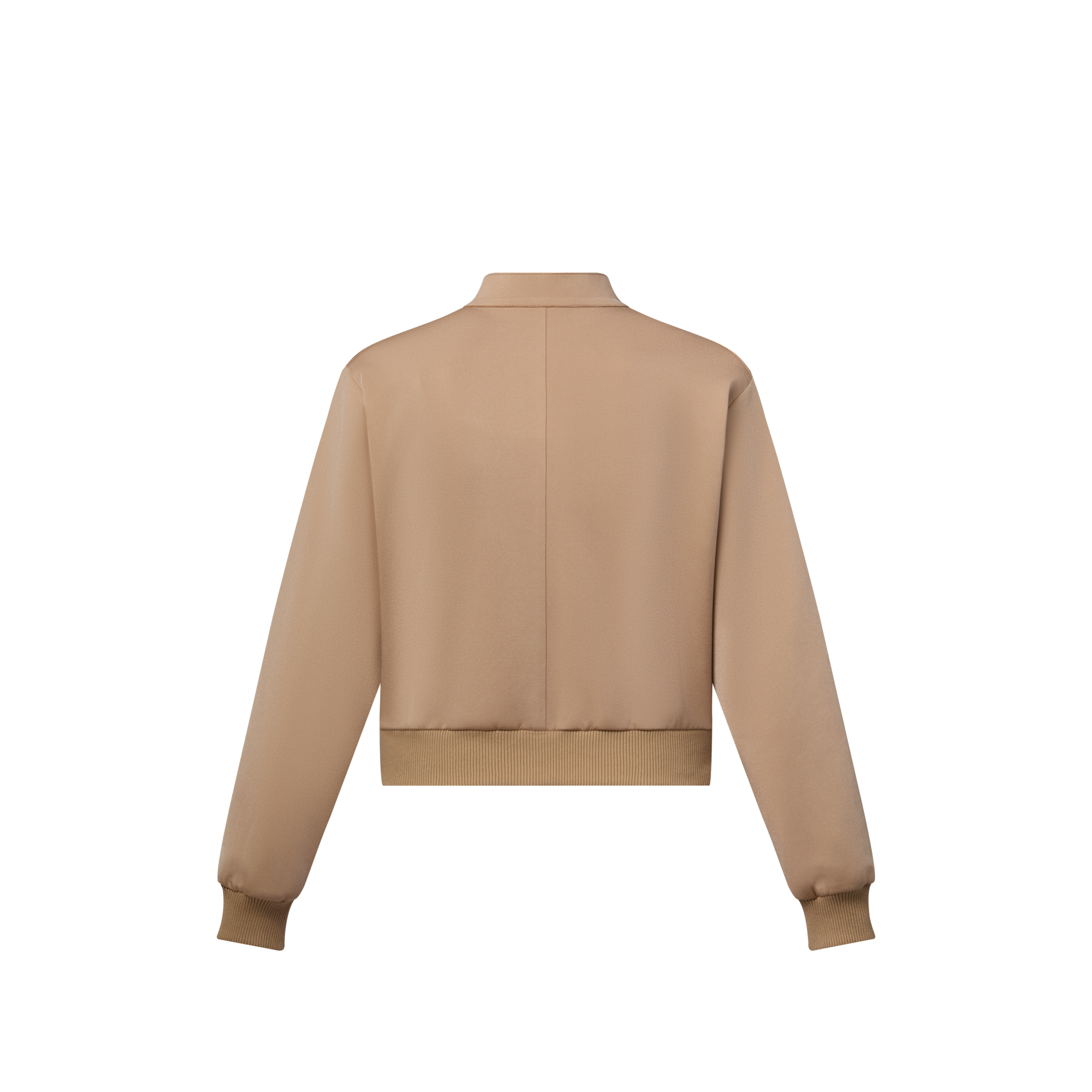  Ready-to-Wear Casacos e Jaquetas Jaqueta Bomber Louis Vuitton 3D | Louis Vuitton ® (Zoom no Produto)