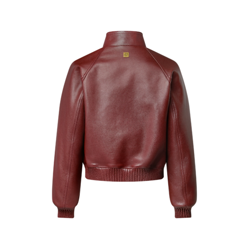 Ready-to-Wear Casacos e Agasalhos Jaqueta de Couro Granulado | Louis Vuitton ® (Zoom no Produto)