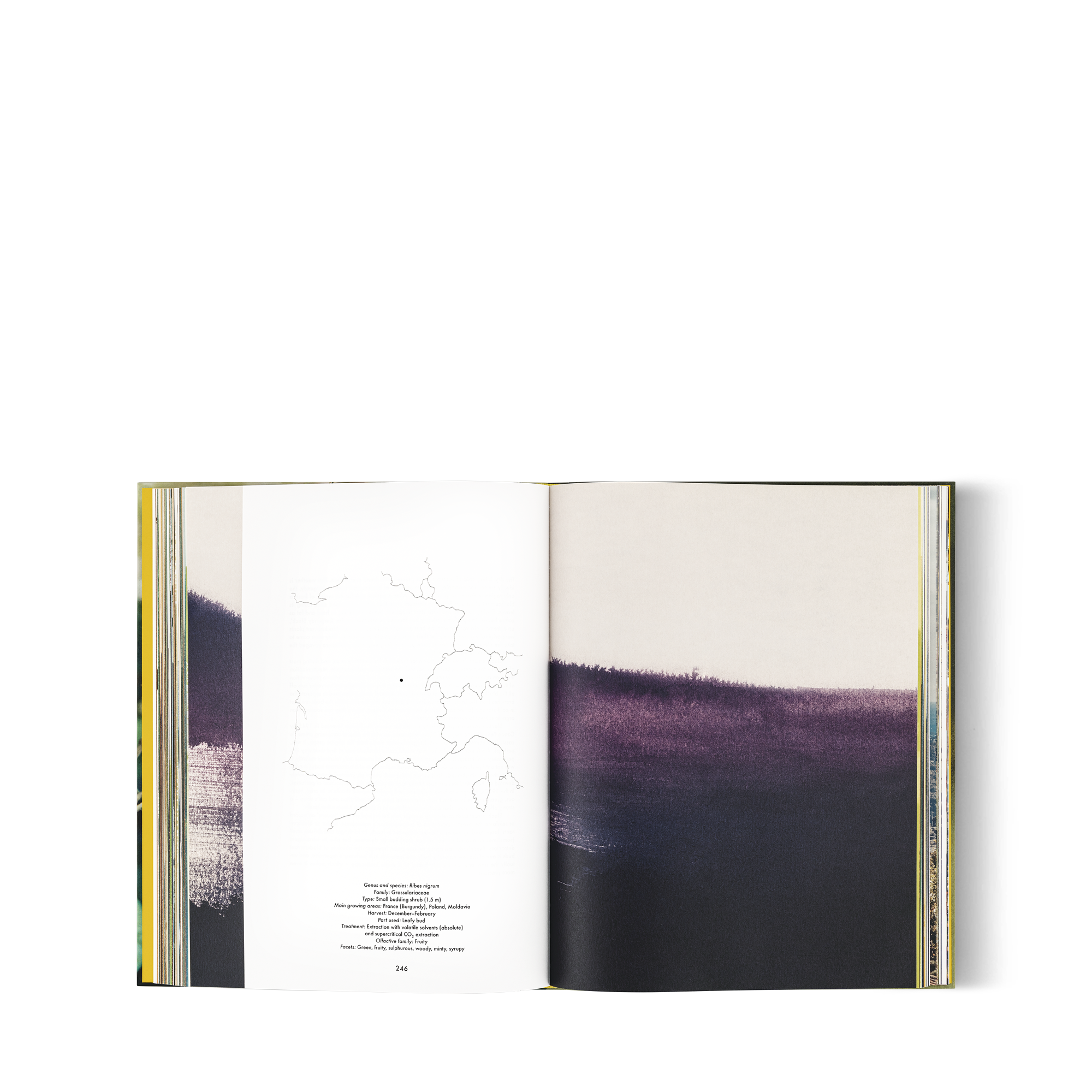  Livros e Papelaria Livros de Capa Dura Louis Vuitton: Atlas de Perfumes, Versão em Inglês | Louis Vuitton ® (Zoom no Produto)