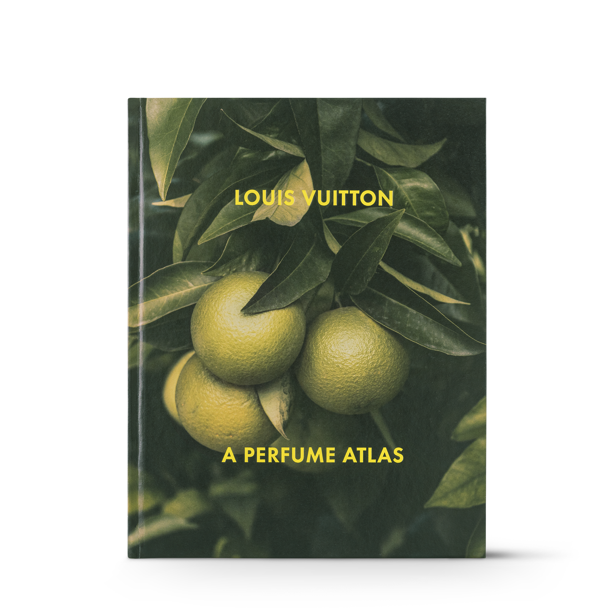  Livros e Papelaria Livros de Capa Dura Louis Vuitton: Atlas de Perfumes, Versão em Inglês | Louis Vuitton ® (Zoom no Produto)