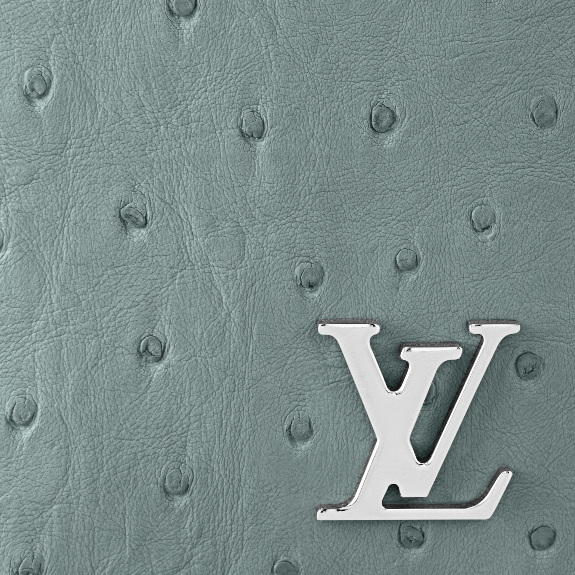 Avestruz Carteiras Carteiras em Couro Exótico Organizador de Bolso | Louis Vuitton ® (Zoom no Produto)
