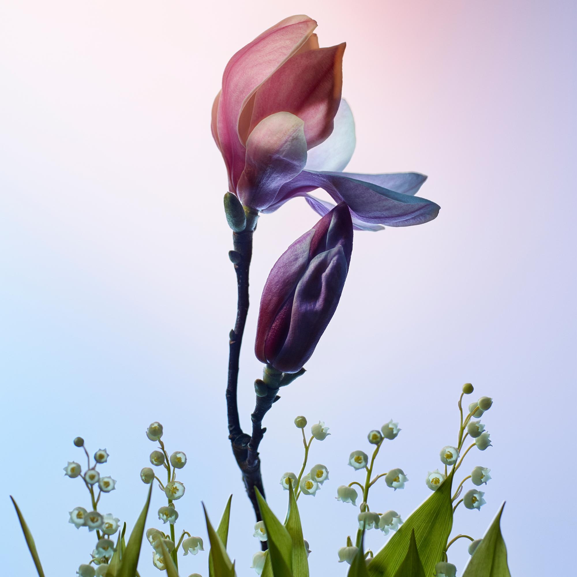  Coleções Perfumes Femininos Perfume Apogée | Louis Vuitton ® (Zoom no Produto)