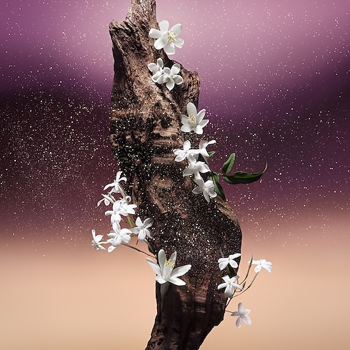 Coleções Perfumes Masculinos Perfume Fleur du Désert | Louis Vuitton ® (Zoom no Produto)