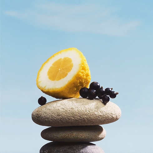 Todos os Perfumes } Perfume Pacific Chill | Louis Vuitton ® (Zoom no Produto)