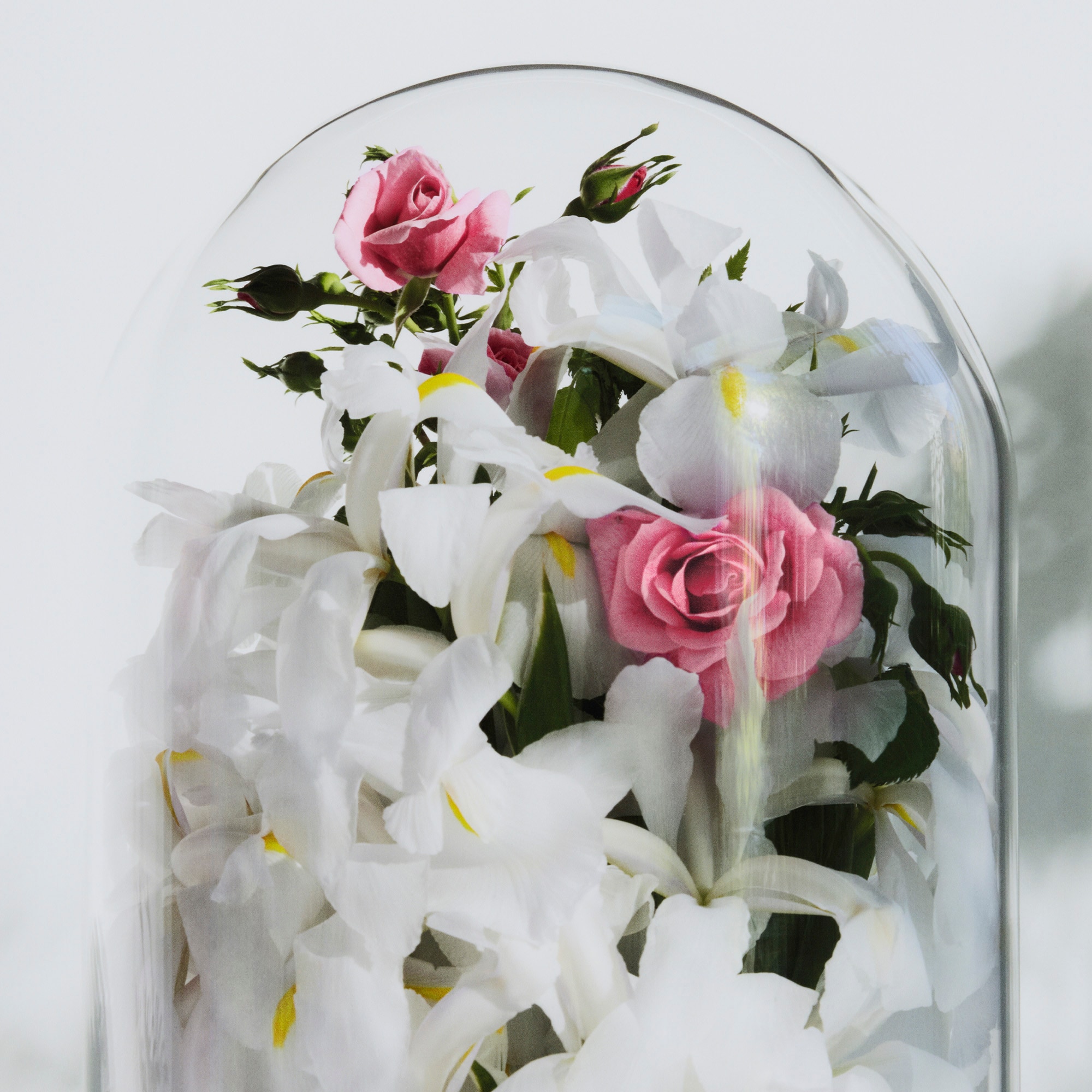  Coleções Perfumes Femininos Perfume Spell on You | Louis Vuitton ® (Zoom no Produto)