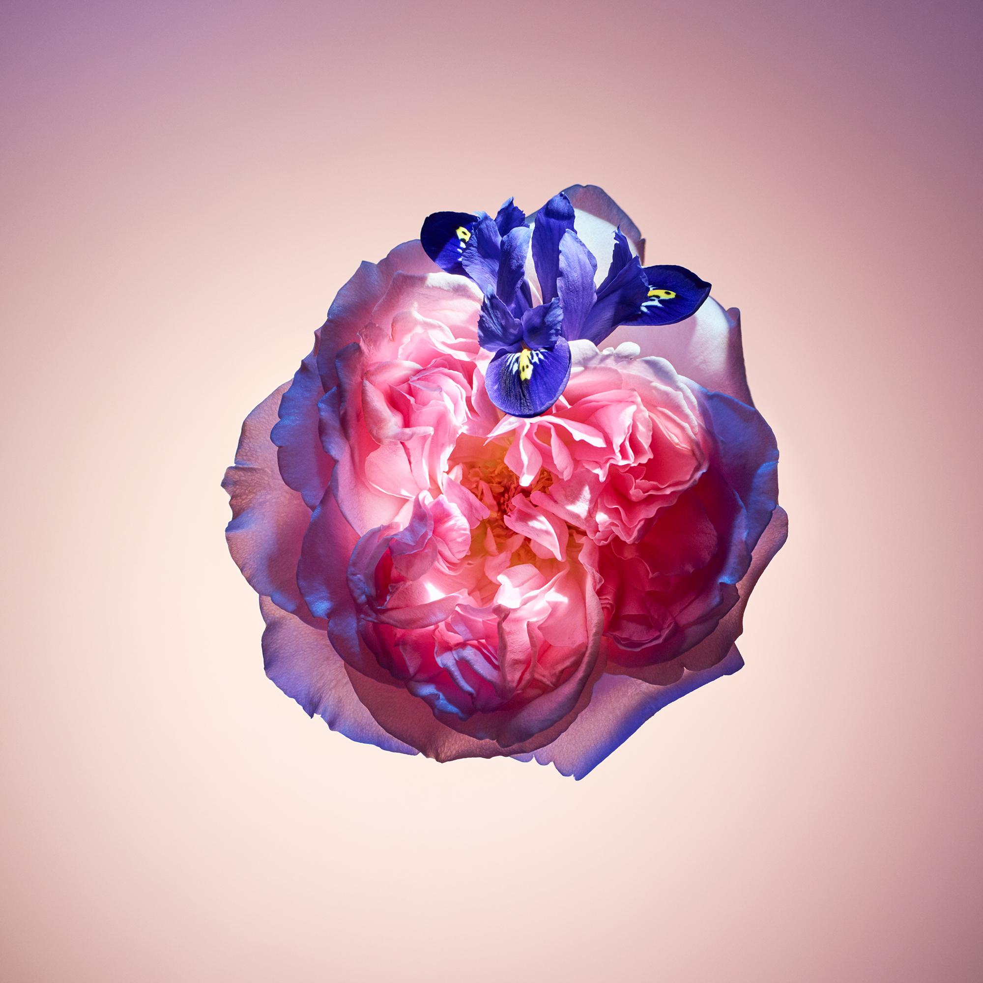  Coleções Viagens Spray de Viagem do Perfume Rose des Vents | Louis Vuitton ® (Zoom no Produto)